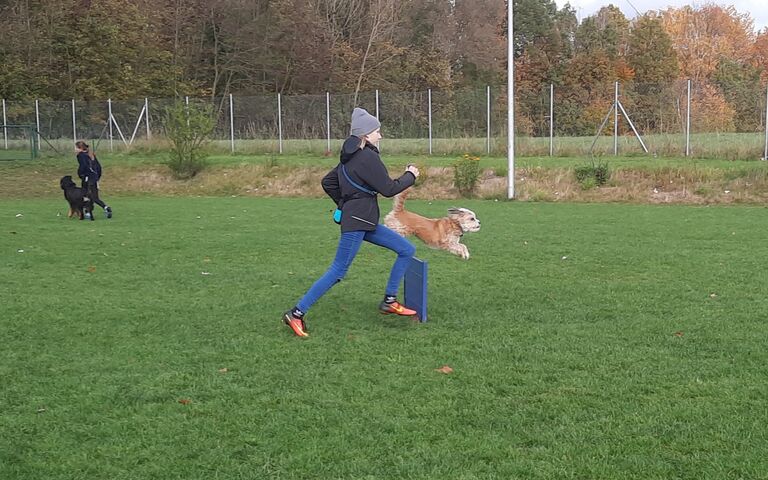 IMG-20231113-WA0009.jpg