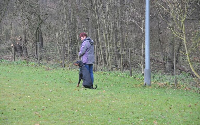 dsc_6500.jpg