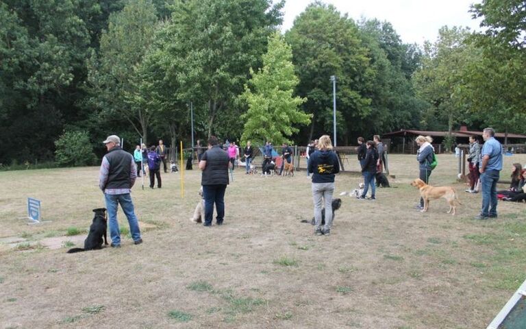 img_8041.jpg