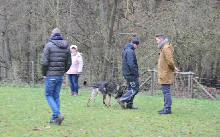 dsc_6388.jpg