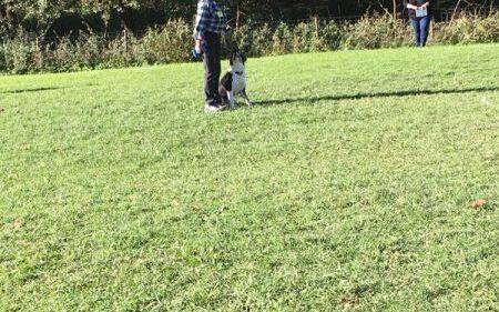 img_20171014_wa0033.jpg