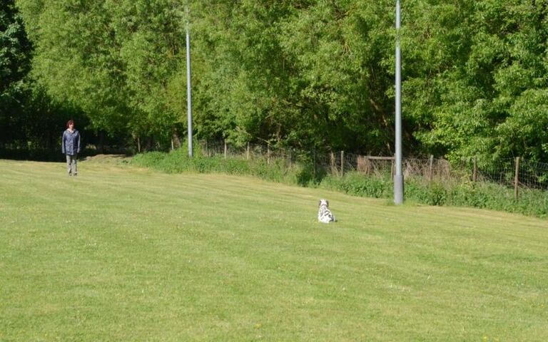 dsc_2146.jpg