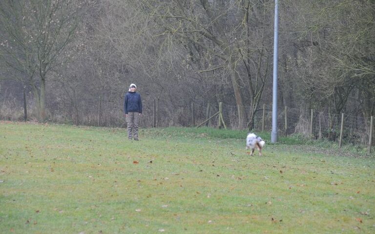 dsc_6656.jpg