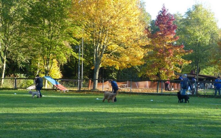 p1180237.jpg