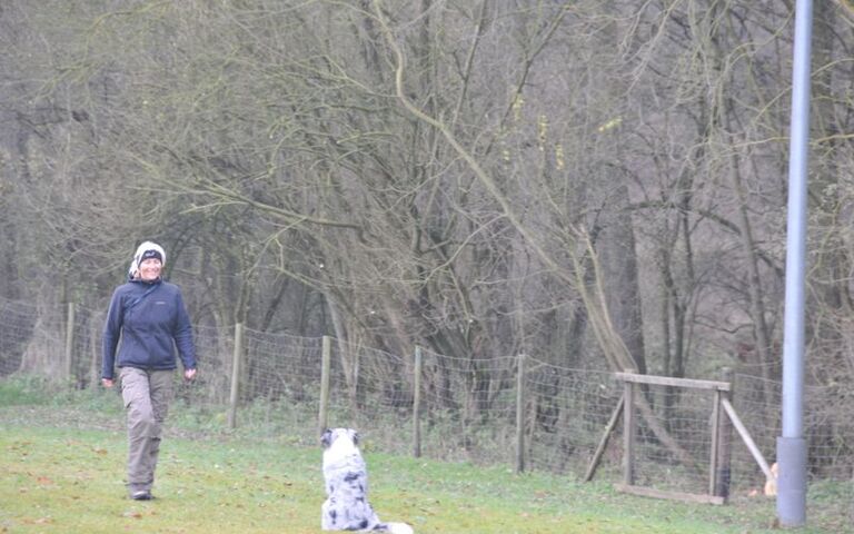 dsc_6652.jpg