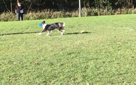 img_20171014_wa0031.jpg