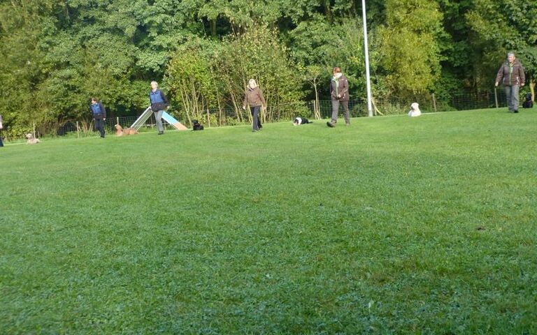 p1150733.jpg