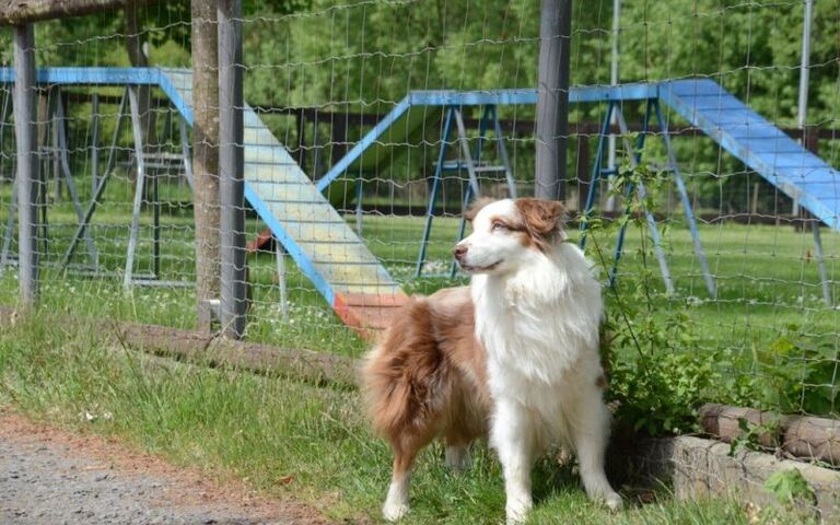 dsc_2596.jpg
