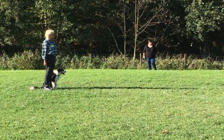 img_20171014_wa0026.jpg