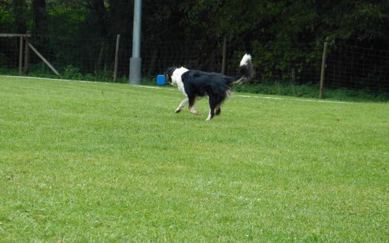 p1160060.jpg