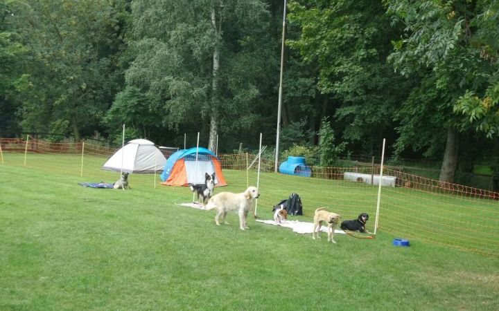 03_IMG-20150913-WA0005.jpg