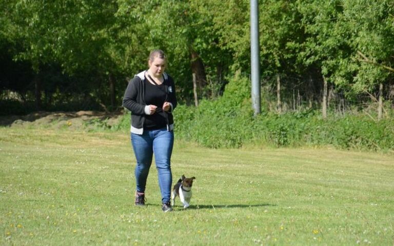 dsc_2288.jpg