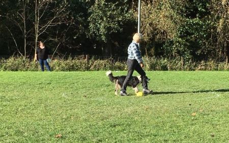 img_20171014_wa0027.jpg