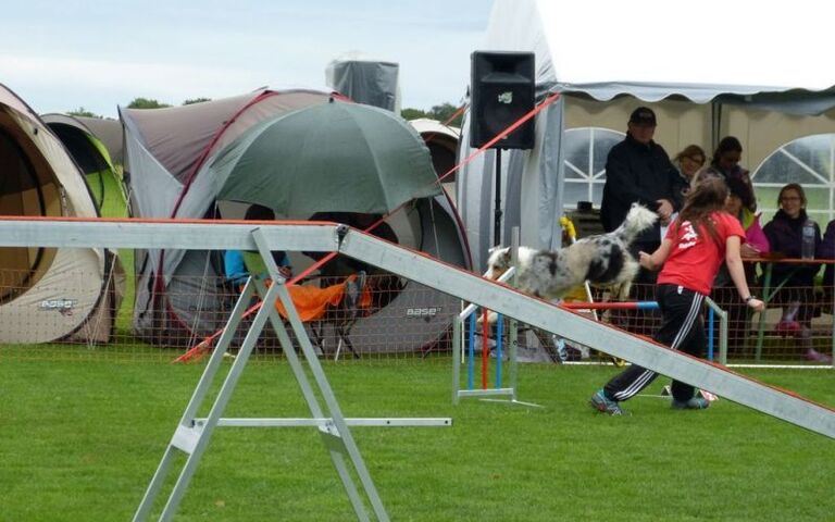 p1170696.jpg