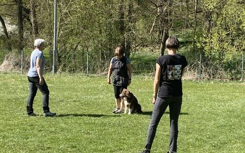 img_4867.jpg