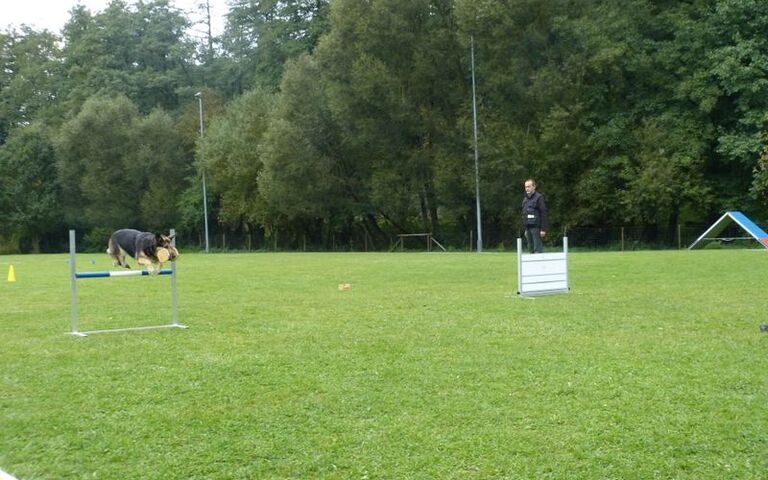 p1160141.jpg