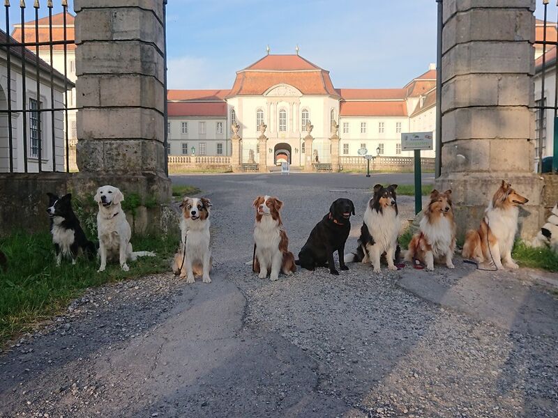 THS Außentraining