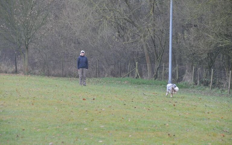 dsc_6654.jpg