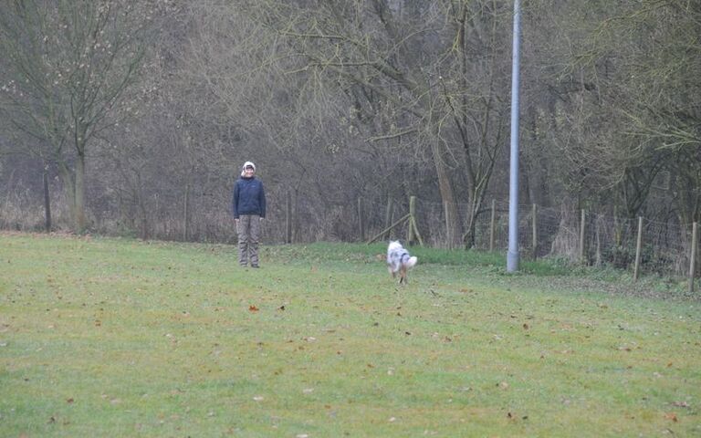 dsc_6660.jpg