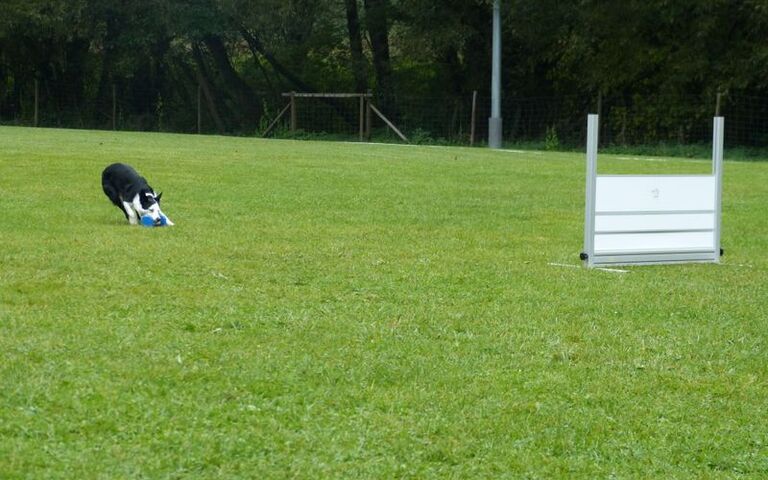 p1150822.jpg