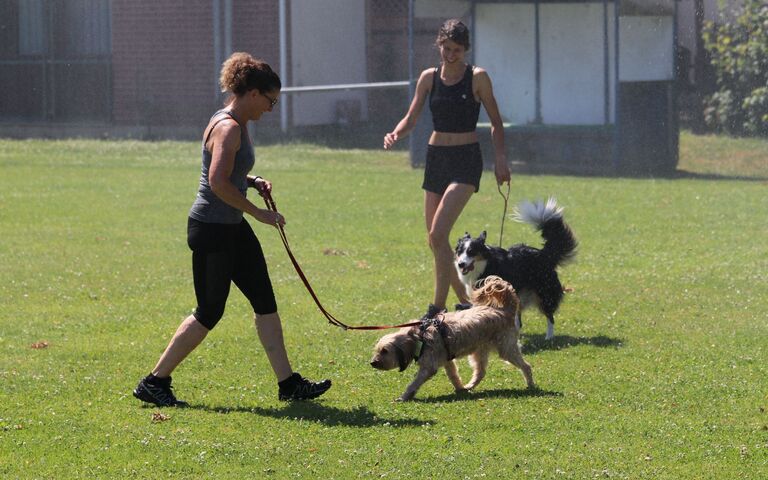 IMG-20250806-WA0017.jpg