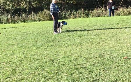 img_20171014_wa0032.jpg