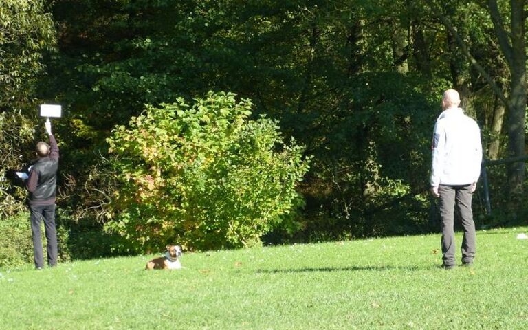 p1180374.jpg