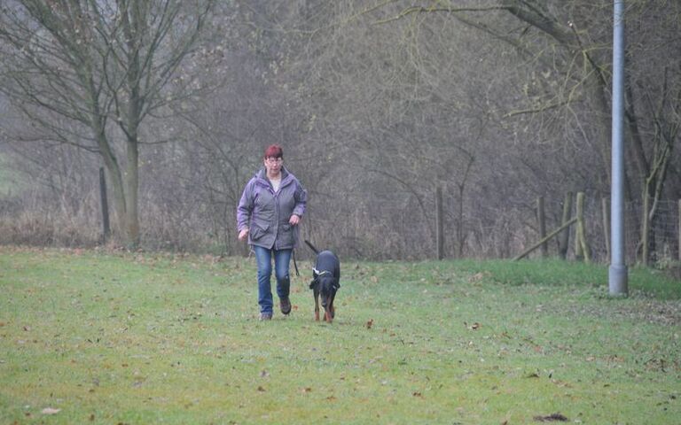 dsc_6503.jpg