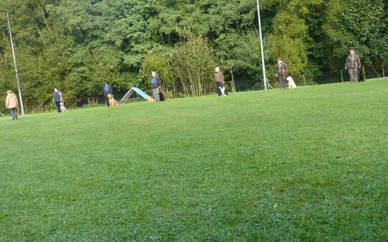 p1150728.jpg