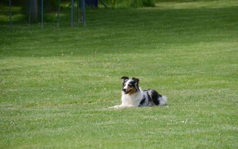 dsc_2321.jpg
