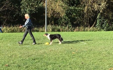 img_20171014_wa0029.jpg