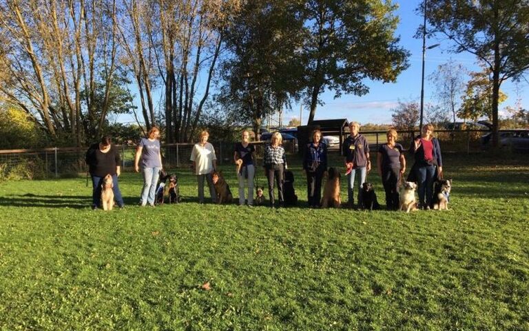 img_20171014_wa0035.jpg