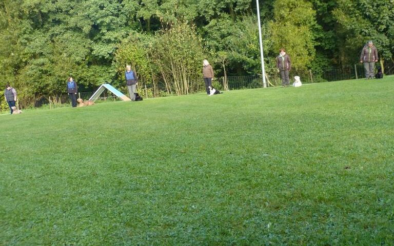 p1150732.jpg