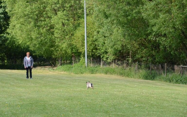 dsc_2266.jpg