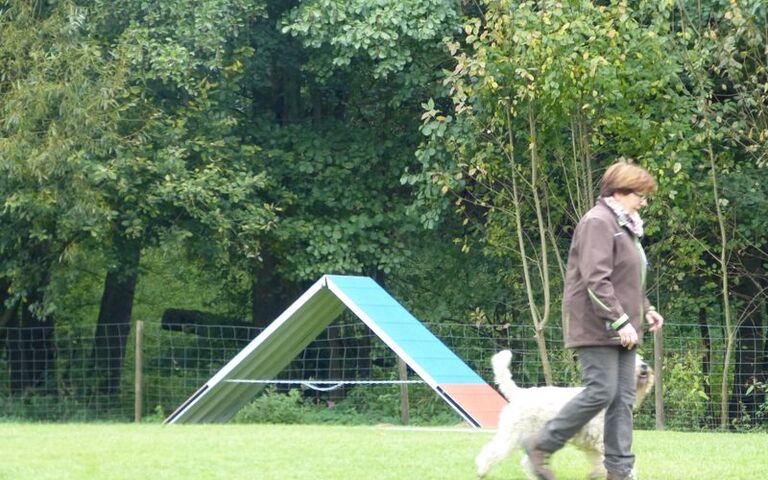 p1160079.jpg
